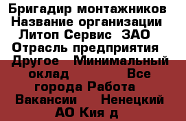 Бригадир монтажников › Название организации ­ Литоп-Сервис, ЗАО › Отрасль предприятия ­ Другое › Минимальный оклад ­ 23 000 - Все города Работа » Вакансии   . Ненецкий АО,Кия д.